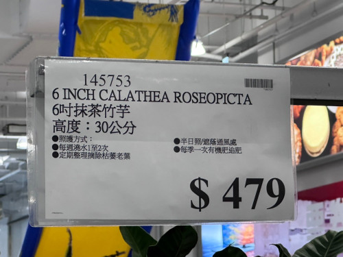 94d46318c2a0.jpeg
