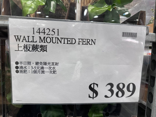 42ad3a3c673b.jpeg