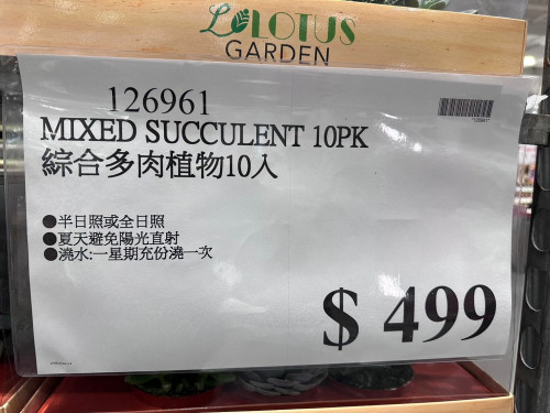 9c2cea32d7f7.jpeg