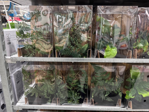 d4940612ae3c.jpeg