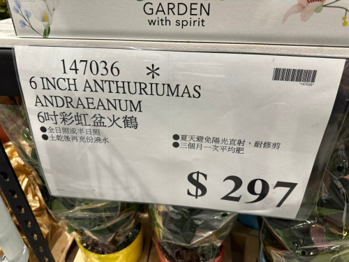 356699396ec1.jpeg