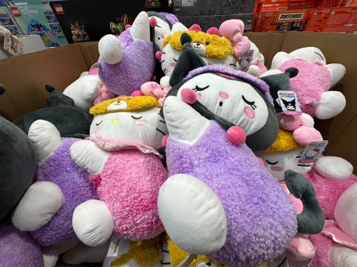 d46d26500323.jpeg