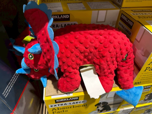 e8b376e41bf6.jpeg
